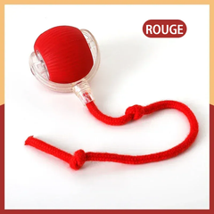 Balle Interactive Automatique